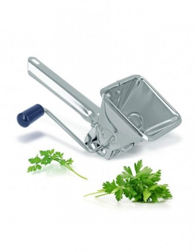 251511 S/S Plated parsley cutter