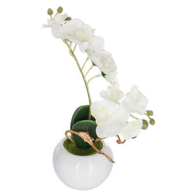 155716 ORCHIDEE POT CRMQ H25